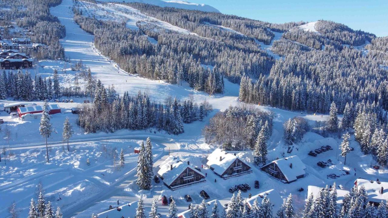 Вілла Bakkebyvegen 20A Трюсіль Екстер'єр фото